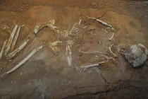 Người Hy Lạp cổ đại tin xác chết có thể đội mồ sống dậy