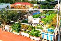 Ý tưởng sáng tạo 19: Vườn rau ao cá trên mái nhà