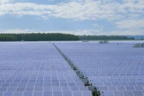 6 dự án điện mặt trời bị Hải quan phạt hơn 50 tỷ đồng