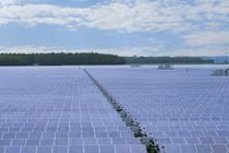 6 dự án điện mặt trời bị Hải quan phạt hơn 50 tỷ đồng