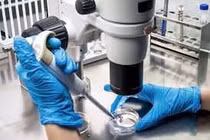 Tin mừng: Virus đậu mùa bò có thể tiêu diệt mọi loại ung thư