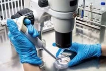 Tin mừng: Virus đậu mùa bò có thể tiêu diệt mọi loại ung thư