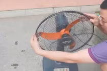 Bảo quản quạt điện đúng cách