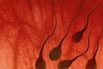 Máu ra cùng tinh dịch