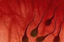 Máu ra cùng tinh dịch