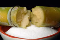 Tương lai tươi sáng của ngành đường mía Việt Nam