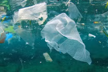 Giải pháp tiên tiến cho phép sử dụng AI xác định ô nhiễm vi hạt nhựa