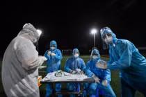 Việt Nam 'chọn con đường khó nhất' trong chống dịch