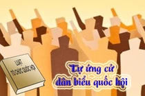 Ứng viên đại biểu Quốc hội 'vận động không trong sáng', xử lý thế nào?