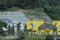 Hà Nội bàn giải pháp ngăn chặn lấn chiếm đất rừng