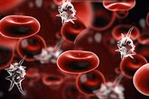 Sốc nhiễm khuẩn vì sợ Covid không đi khám