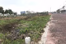 Đà Nẵng cảnh báo bùng phát dịch vụ chuyển đất nông nghiệp thành đất ở trên mạng xã hội