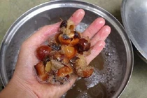 Nước giặt chống muỗi từ bồ hòn