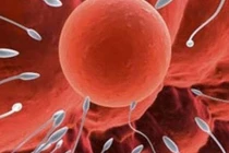 Thời điểm nào thụ thai tốt nhất trong năm?