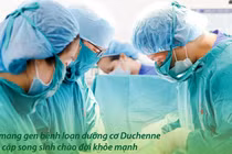 Sàng lọc phôi giúp mẹ mang gene bệnh loạn dưỡng cơ sinh song thai khỏe mạnh