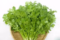 Cây rau mùi trị bệnh