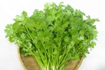 Cây rau mùi trị bệnh