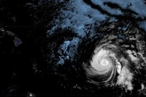 Bão chồng Covid-19, Tổng thống Donald Trump ban bố tình trạng khẩn cấp