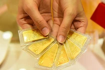 Giá vàng trong nước lại vượt 56 triệu đồng