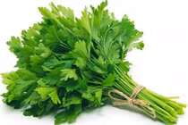 Rau mùi giải nhiễm độc thủy ngân?