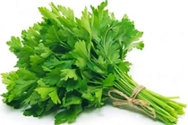 Rau mùi giải nhiễm độc thủy ngân?