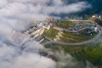 30/4 này, lên Fansipan ngắm biển hoa tím đẹp đến ngỡ ngàng