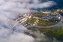 30/4 này, lên Fansipan ngắm biển hoa tím đẹp đến ngỡ ngàng