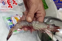 Tác hại của bột thạch bơm vào tôm