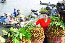 Trung Quốc đóng cửa tiểu ngạch, nông sản Việt sốc nặng