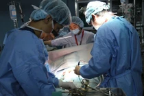 Quyền Bộ trưởng Y tế: 'Ghép ruột rất phức tạp'