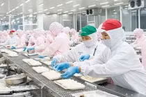 Áp thuế chưa chính xác, nhiều doanh nghiệp thủy sản thiệt thòi