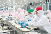 Áp thuế chưa chính xác, nhiều doanh nghiệp thủy sản thiệt thòi