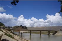 Thanh Hóa: Chủ động cấp đủ nước tưới phục vụ sản xuất, chống hạn