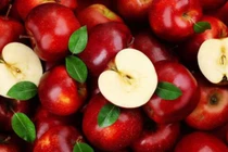 Tinh thận khỏe, cơ thể khỏe