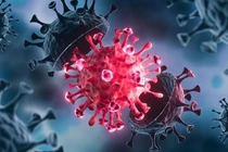 Trung quốc bệnh nhân Covid 19 tăng kỉ lục