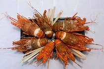 Tôm hùm 28.000 đồng/con, có nên mua về sử dụng?