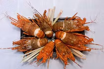 Tôm hùm 28.000 đồng/con, có nên mua về sử dụng?