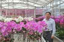 “Vua lan” vươn tầm nông nghiệp Việt