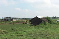 TPHCM xin chuyển 384,2ha đất nông nghiệp thành khu đô thị