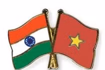 Thương mại Việt Nam - Ấn Độ giảm trong 5 tháng đầu năm 2020