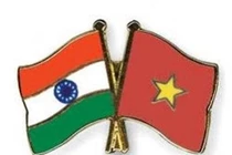 Thương mại Việt Nam - Ấn Độ giảm trong 5 tháng đầu năm 2020