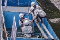 Cải tạo sông Tô Lịch thành công viên: ‘Bảo bối’ Nhật không phải là phép màu