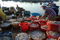 Người sử dụng lao động được vay lãi suất 0% để trả lương ngừng việc