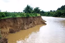 Bờ sông Đồng Nai qua địa bàn huyện Cát Tiên đang sạt lở nghiêm trọng.