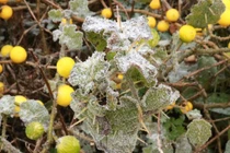 Đợt rét tê tái ở miền Bắc kéo dài đến bao giờ?