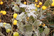 Đợt rét tê tái ở miền Bắc kéo dài đến bao giờ?