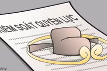 Kiểm soát quyền lực khi nhất thể hóa