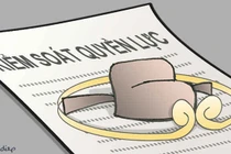 Kiểm soát quyền lực khi nhất thể hóa