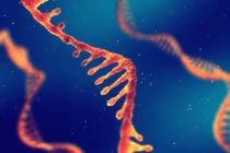 Điều kiện để điều trị đau xương khớp bằng tế bào gốc