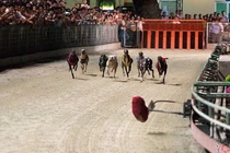 Nghị định 06: Soạn thảo mất 10 năm, giờ... loay hoay sửa